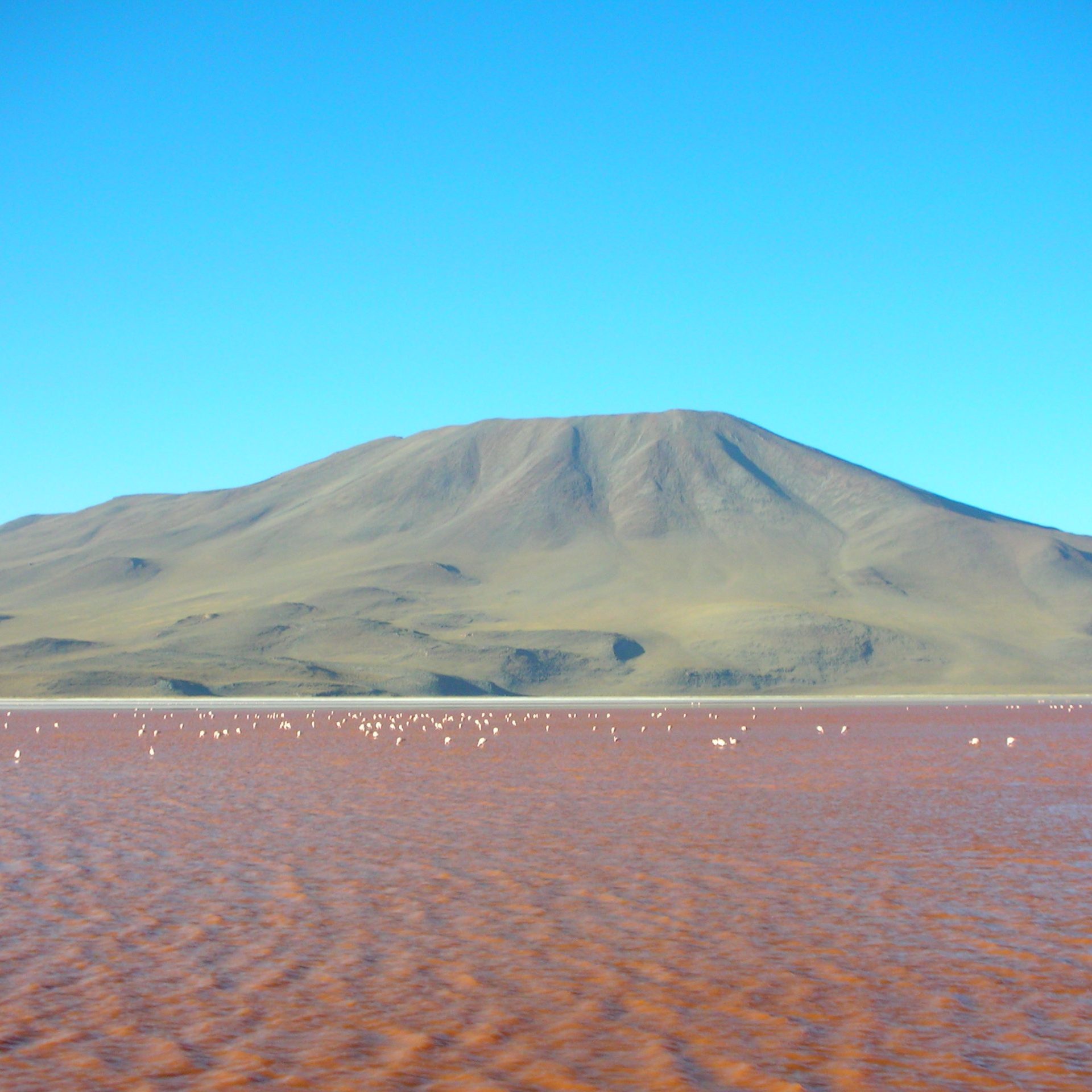 The Data Lakes